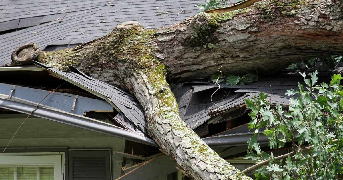 How to Spot Unlicensed Storm Chasers in Palm Beach County