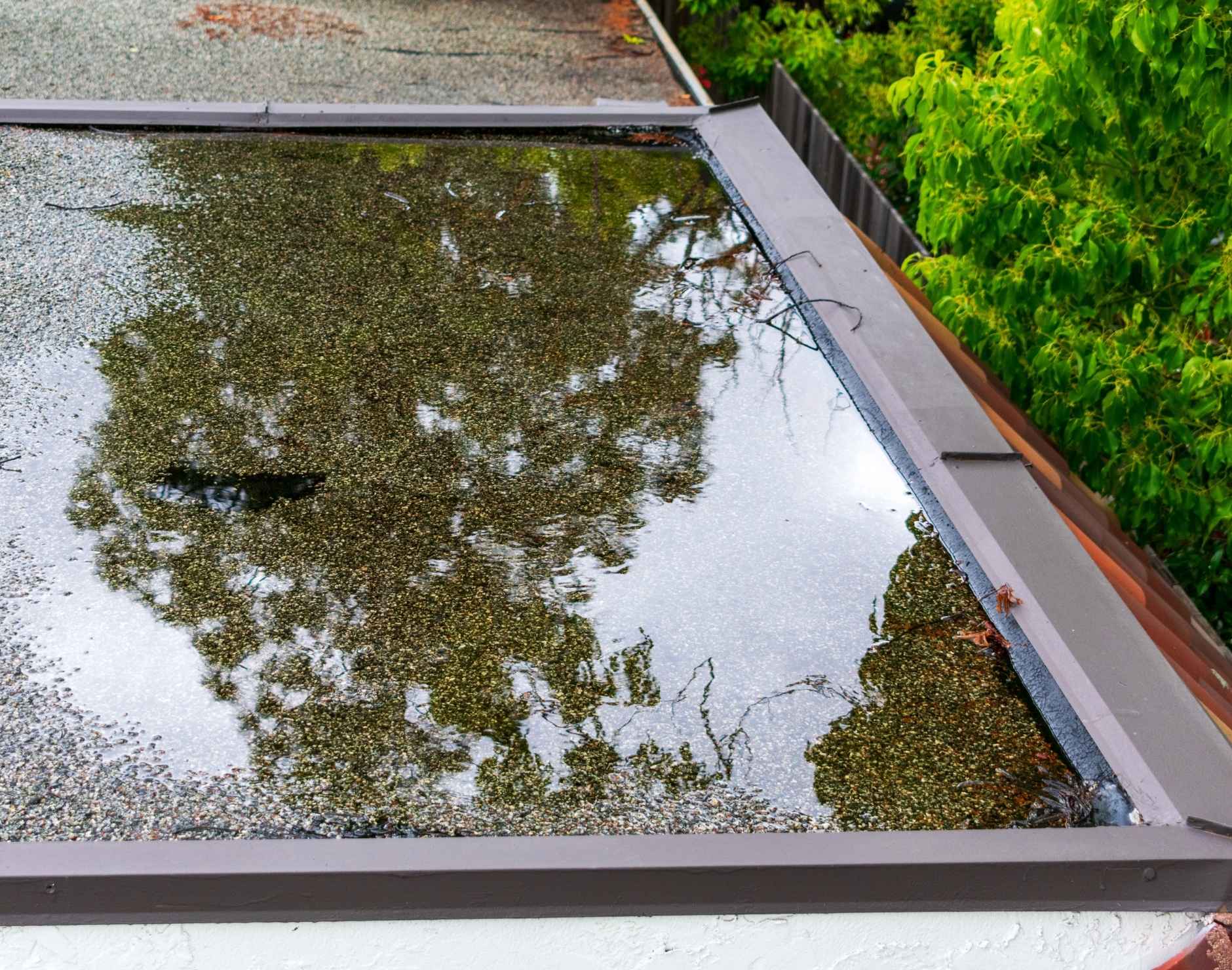 How to Fix Ponding Water on a Flat Roof in Florida – Causes, Consequences, and Corrections