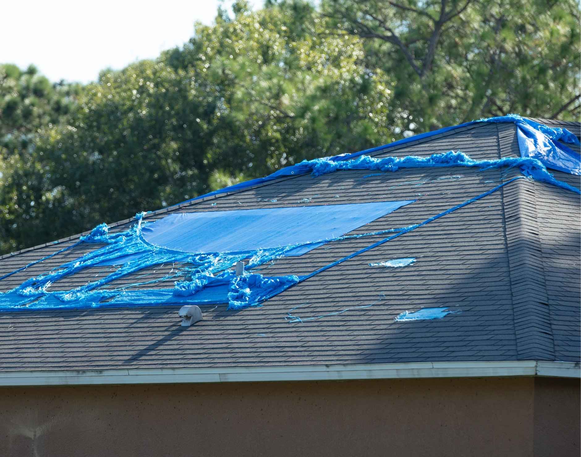 Roof Leak Repair in South Florida – How to Find the Source and Get It Fixed Right