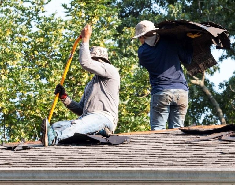 Private Market vs Citizens Insurance for Roofing in Palm Beach County – What Homeowners Need to Know